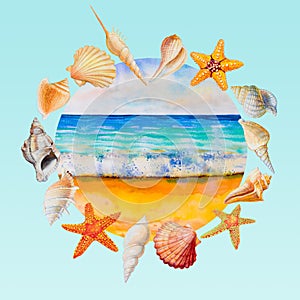 Summer sea shells collection design