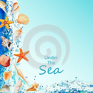 Summer sea shells collection design