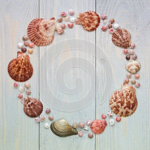 Summer sea shells round frame on wooden planks. Travel background.