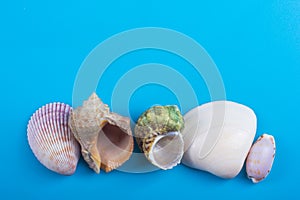 Summer sea vacation mockup background. Notebook blank page with Travel items on blue table. Sea shells, pebbles, top