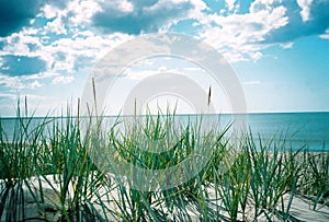 Summer sea. A view from the sandhill