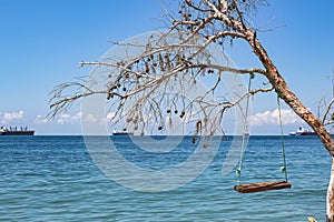 Summer sea view, swings on a fallen tree and cargo ships. Homemade sea swings on a wild beach entertain tourists