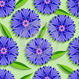 Summer seamless pattern with 3d cornflowers and leaves