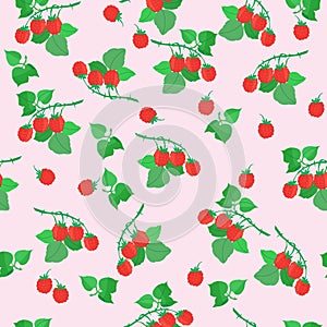 Summer seamless pattern with berries and leaves of wild raspberries, vector illustration