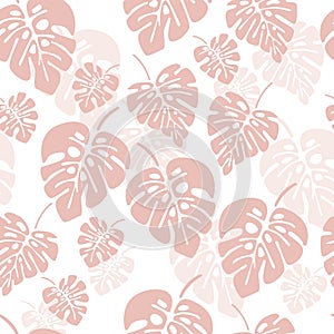 Summer seamless pattern with pink monstera palm leaves on white background