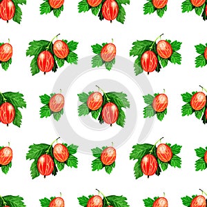 Summer seamless pattern with realistic green gooseberry on white background photo