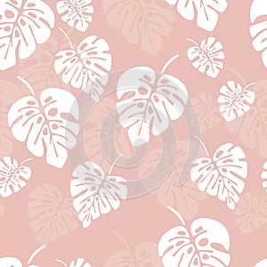 Summer seamless pattern with white monstera palm leaves on pink background