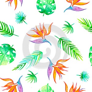 Summer seamless tropical pattern Strelitzia with exotic flower - bird of paradise. Endless texture for season spring and