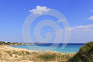 Summer seascape,Apulia coast: Marina di Lizzano beach Taranto. In the foreground dunes with lush mediterranean scrub. photo