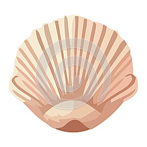 Summer seashell of aquatic mollusk animal shells