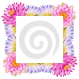 Summer season frame with hand drawn watercolor of colorful water lily. Water lily floral botanical flowers
