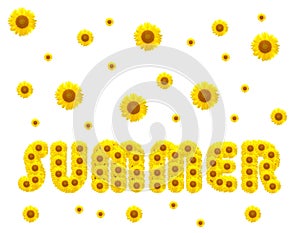 Summer season with sunflowers