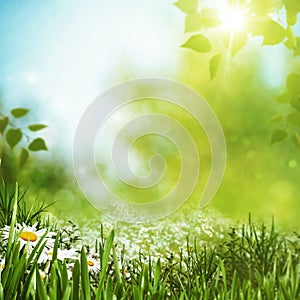 Summer seasonal backgrounds