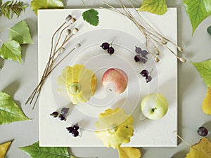 Summer seasonal composition of fruits, vegetables, flowers on a white plate and green tinted paper