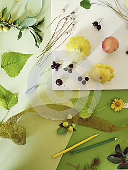 Summer seasonal composition of fruits, vegetables, flowers on a white plate and green tinted paper