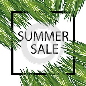 Summer seasonal sale vector template. Discount banner with palm leaves.