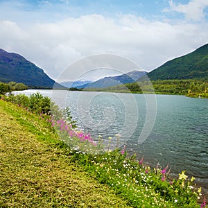 Summer Senja coast (Storelva, Norway)