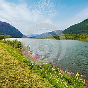 Summer Senja coast (Storelva, Norway