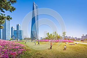 Summer in Seoul with Beautiful flower, Central park in Songdo International Business District, Incheon South Korea