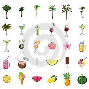 Summer set elements ice cream, drinks, palms, fruits, flowers. Collection icons for cards, poster, sticker. Vector