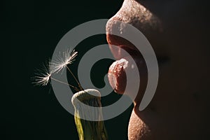 Summer sexy mood. Natural cosmetics concept. Lipstick facial care. Girl blowing on dandelion. Flower seeds, youth and