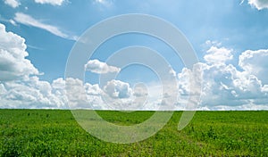 Summer shining meadow with blue sky and fluffy clouds