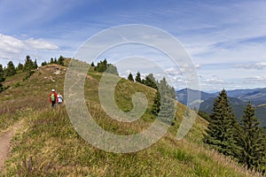 Summer Slovak Mountain Great Fatra, Velka Fatra, peaks Nova Hola 1361 m and Zvolen 1403 m, views from them, Slovakia