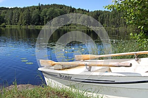 Summer at the small forest lake