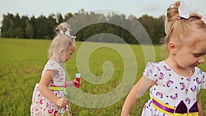 In summer, small twin sisters play in the field. Children give each other bouquets with hugs and kisses.