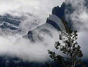 Summer snowfall and clearing storm in the Lewis Range, Glacier National Park, Montana photo