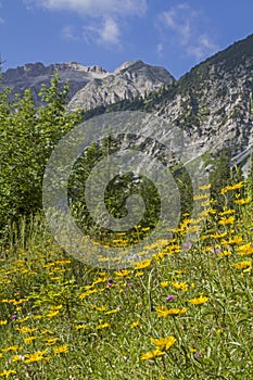 Summer in the Soiern mountains