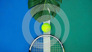 Summer sport concept with green monstera leaf and tennis ball, racquet on white line on hard tennis court.