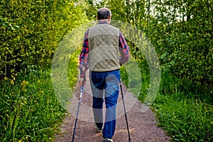 Summer sport for senior people. Nordic walking
