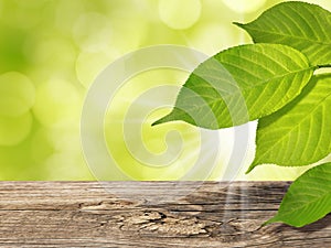 Summer Spring Background with Green Tree Leaves Wooden Table Sunlight and Sun Rays