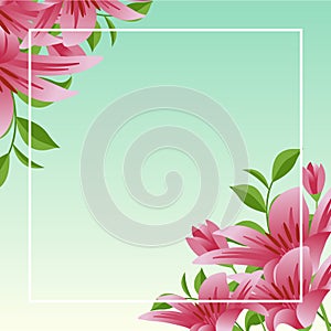 Summer Spring Blooming Flower Nature with Blue Sky Background