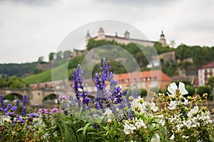 Summer or spring flowers with wurzburg fortress in the background