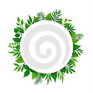 Summer spring green leaves branches twigs plants foliage greenery round circle frame with place for text