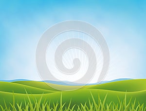 Summer Or Spring Meadows Background