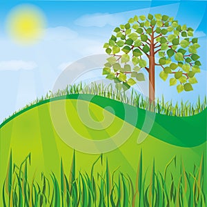 Summer or spring nature background with green tree