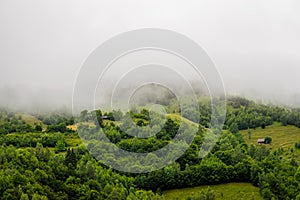 Summer / spring panoramic landscape of a hill forest in Moieciu de Jos, Brasov, Transylvania, Romania