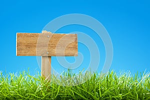 Summer / Spring Scene with Green Grass and Clear Blue Sky - Empty Wooden Sign Post