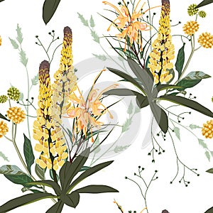 Summer spring seamless pattern with yellow lupines paradise flowers and herbs.