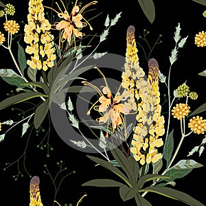 Summer spring seamless pattern with yellow lupines paradise flowers and herbs.