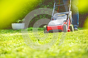 Summer and spring season sunny lawn mowing in the garden..