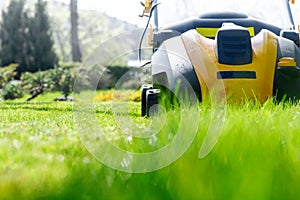 Summer and spring season sunny lawn mowing in the garden