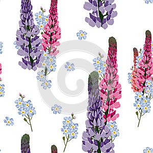 Summer spring wild lupines pink flowers and blue forget-me-not flowers.