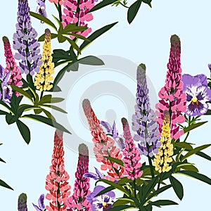 Summer spring wild lupines pink, violet and yellow flowers with green leaves.