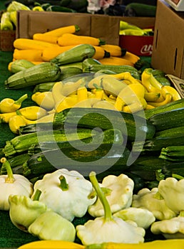 Summer Squash at a Local City Farmers Market