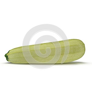 Summer Squash Zucchini Isolated on White Background 3D Illustration