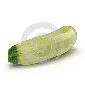 Summer Squash Zucchini Isolated on White Background 3D Illustration